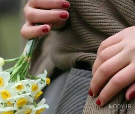 والپیپر و عکس های زیبا از گل نرگس شیراز و شهلا با کیفیت بالا