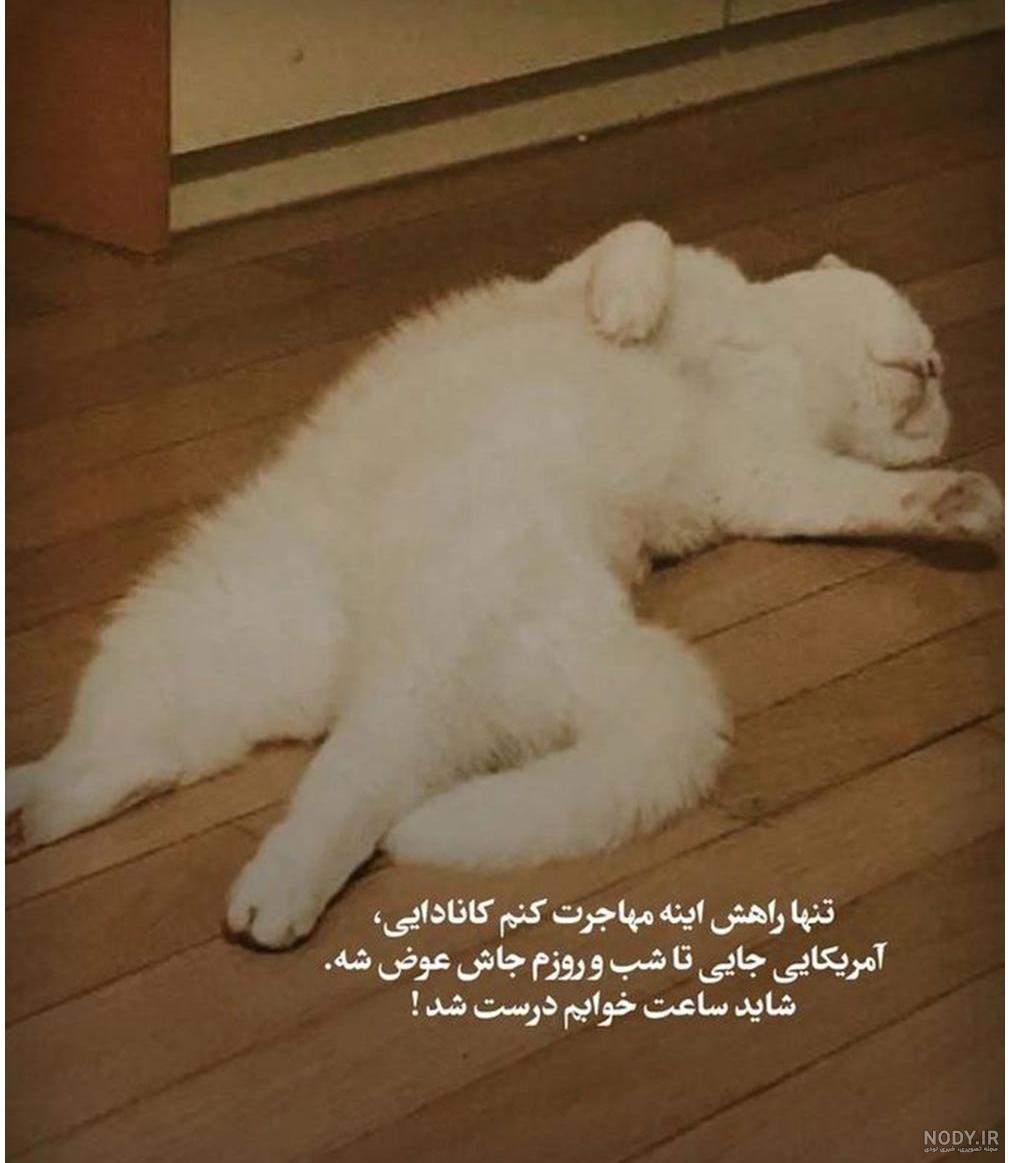 عکس خفن عکس دختر زشت با مقنعه