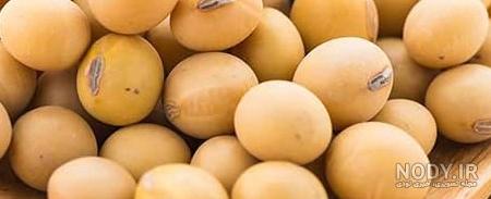 عکس های شیر سویا