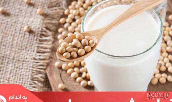 عکس شیر سویا عکس شیر سویا