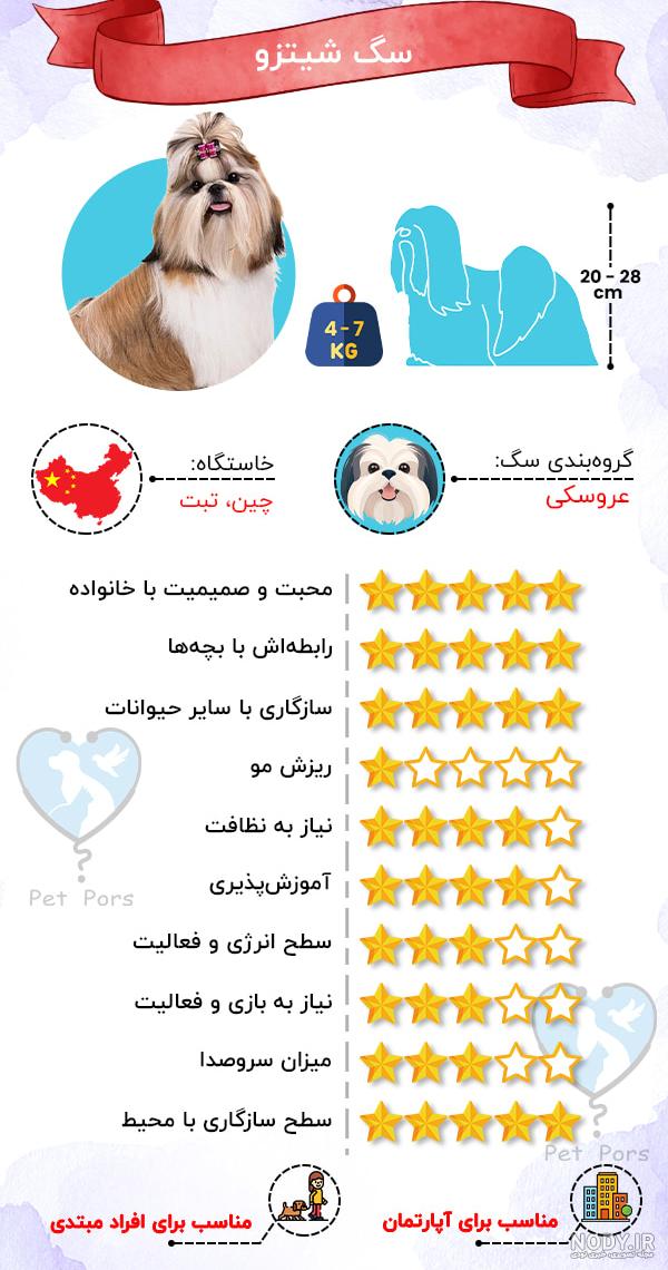 مشخصات، قیمت و خرید سگ شیتزو کراس کد 616 - پت شاپ بارن مشخصات، قیمت و خرید سگ شیتزو کراس کد 616 - پت شاپ بارن