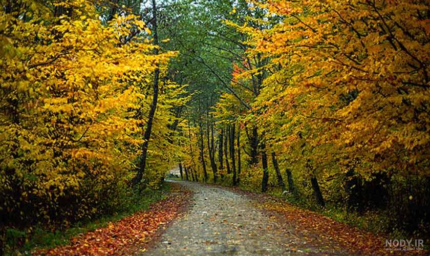 عکس جاده واقعی شب
