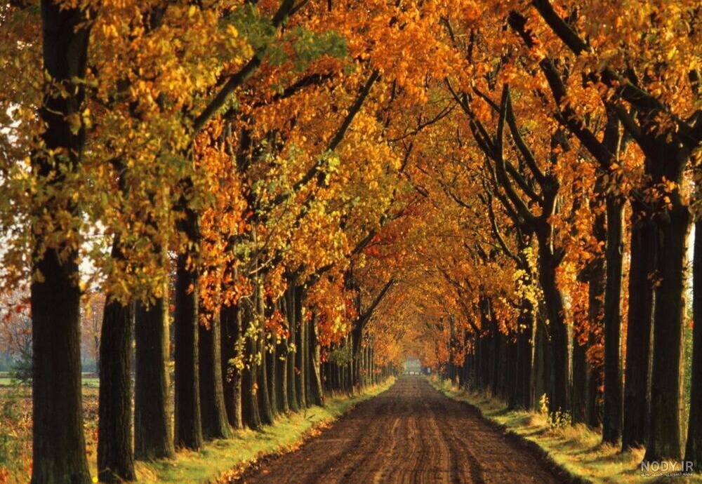 عکس خفن 90 عکس جاده واقعی