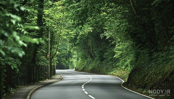 عکس جاده واقعی شب