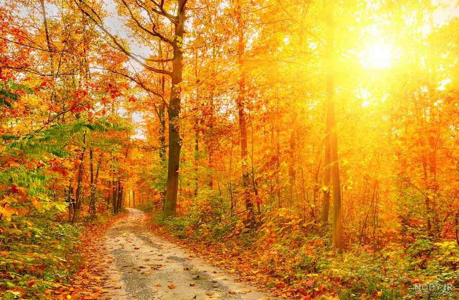 عکس خفن 90 عکس جاده واقعی