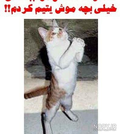 جملات عاشقانه,ضداستقلال,ترول ضدبارسلونا جملات عاشقانه,ضداستقلال,ترول ضدبارسلونا