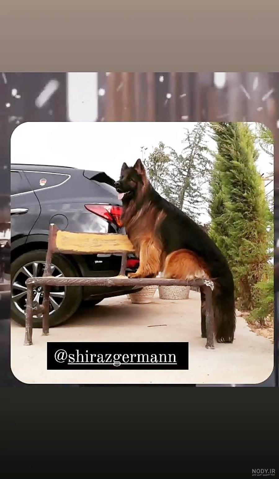 جنگ کین (سلطان خراسان)با اژدر (سلطان شمال) نتیجه جنگ :برد کین جنگ کین (سلطان خراسان)با اژدر (سلطان شمال) نتیجه جنگ :برد کین