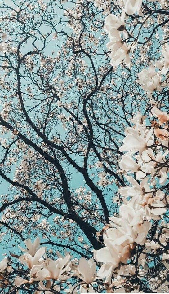عکس های با کیفیت دلار آمریکا با ارزش ترین پول کاغذی در جهان عکس های با کیفیت دلار آمریکا با ارزش ترین پول کاغذی در جهان