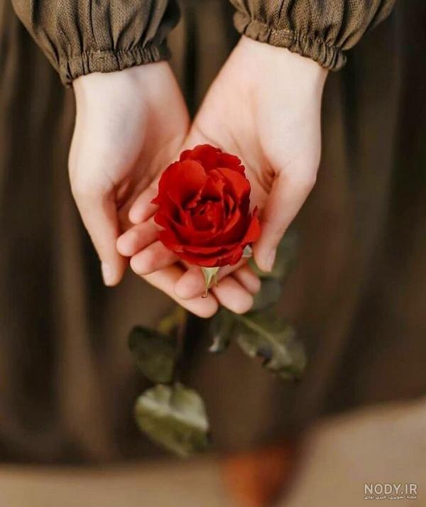 عکس دختر با گل های زیبا