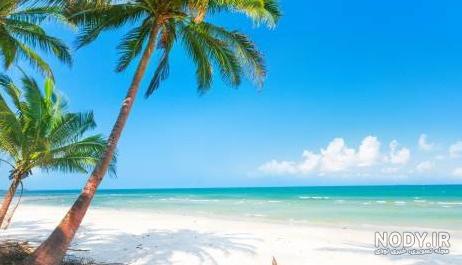 عکس دلار فرانسه عکس دلار فرانسه
