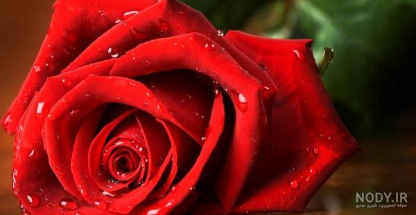 عکس دلار فول اچ دی