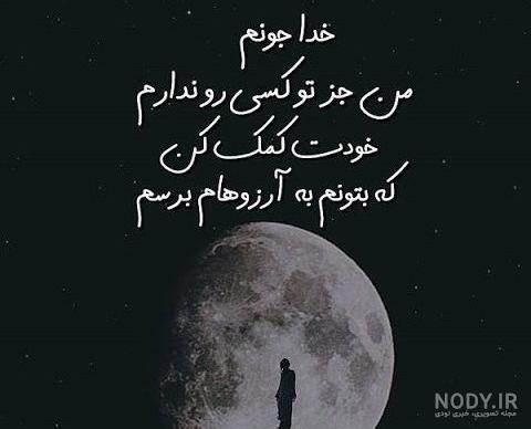 عکس ماشین سگ وحشی
