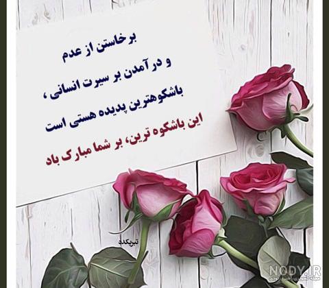 عکس مدیر گروه - عکس نودی