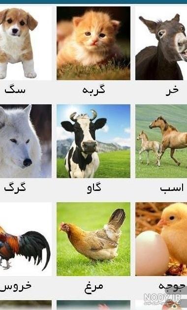 عکس نقاشی صورت پسرانه حیوانات عکس نقاشی صورت پسرانه حیوانات