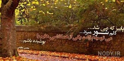 عکس نوشته و پروفایل های عاشقانه فصل پاییز