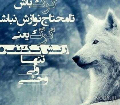 عکس های ورزش سه