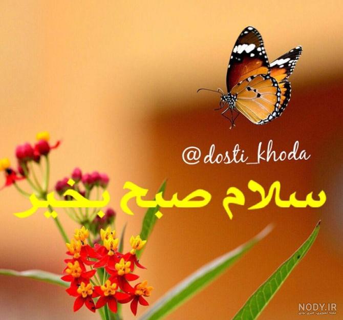عکس پروفایل صبح بخیر چهارشنبه - عکس نودی عکس پروفایل صبح بخیر چهارشنبه - عکس نودی