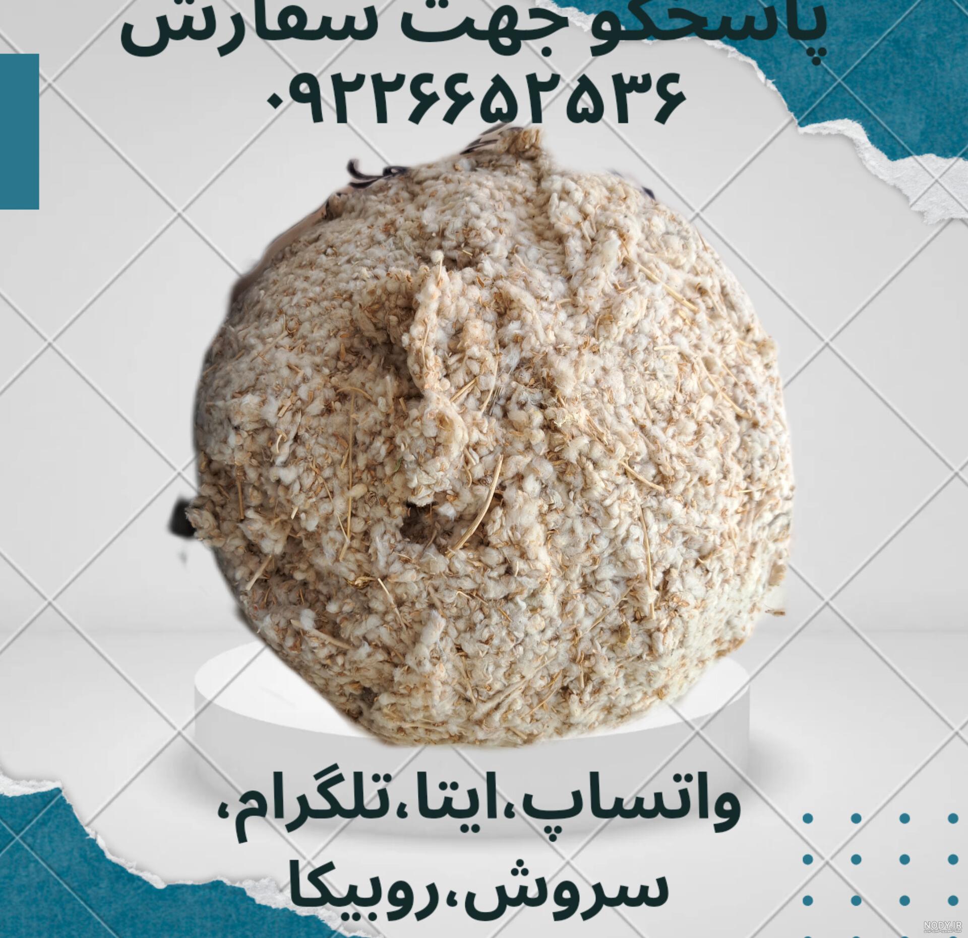 عکس گیاه مریم نخودی