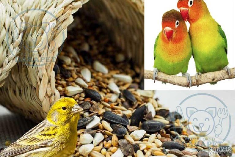 فروشنده عمده غذای پرندگان زینتی - مواد غذایی حیوان خانگی