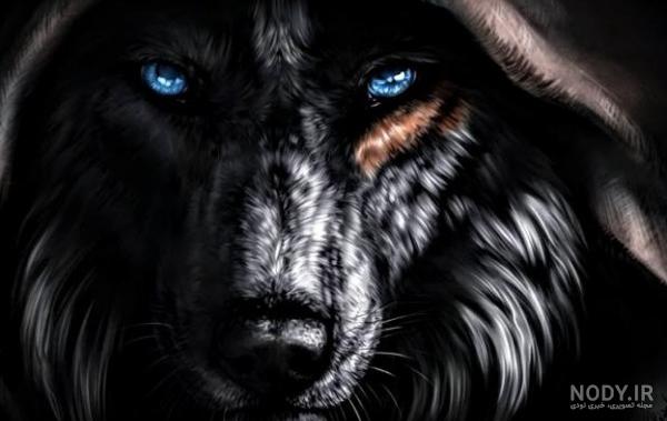 مجموعه عکس اسباب بازی ظرفشویی (جدید)