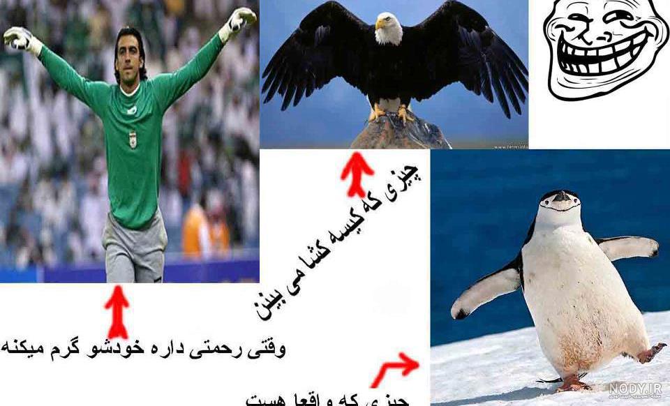 پـله پـله بـه سوی دنیــایــی شـــاد تــر | ترول پـله پـله بـه سوی دنیــایــی شـــاد تــر | ترول