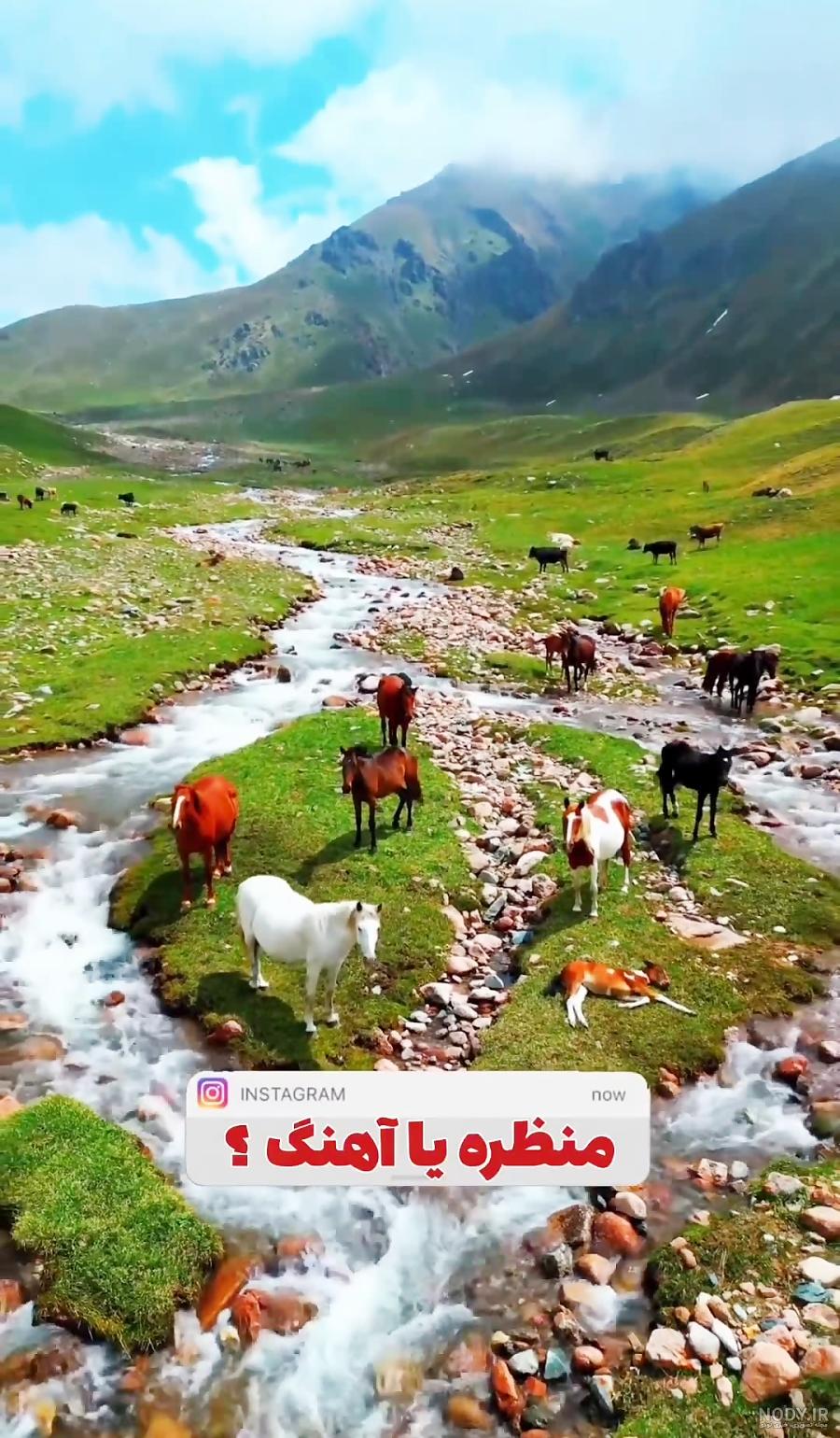 کلیپ شاد لری .برای وضعیت واتساپ .آهنگ چشم سیاه کلیپ شاد لری .برای وضعیت واتساپ .آهنگ چشم سیاه