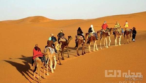 گزارش تصویری: ایران زیباست؛ پارک ملی «کویر» گرمسار | دیدار نیوز