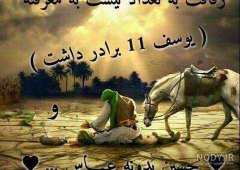بایگانی‌های عکس - صفحه 1264 از 2677 - کامل (مولیزی)