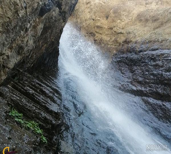 تصویر جنگل و رودخانه