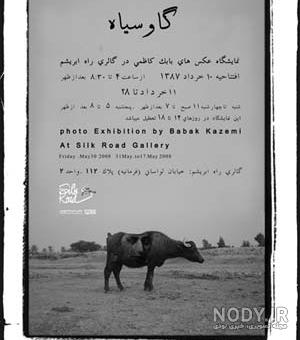 دانلود تصویر با کیفیت گاو شیری | تیک طرح مرجع گرافیک ایران