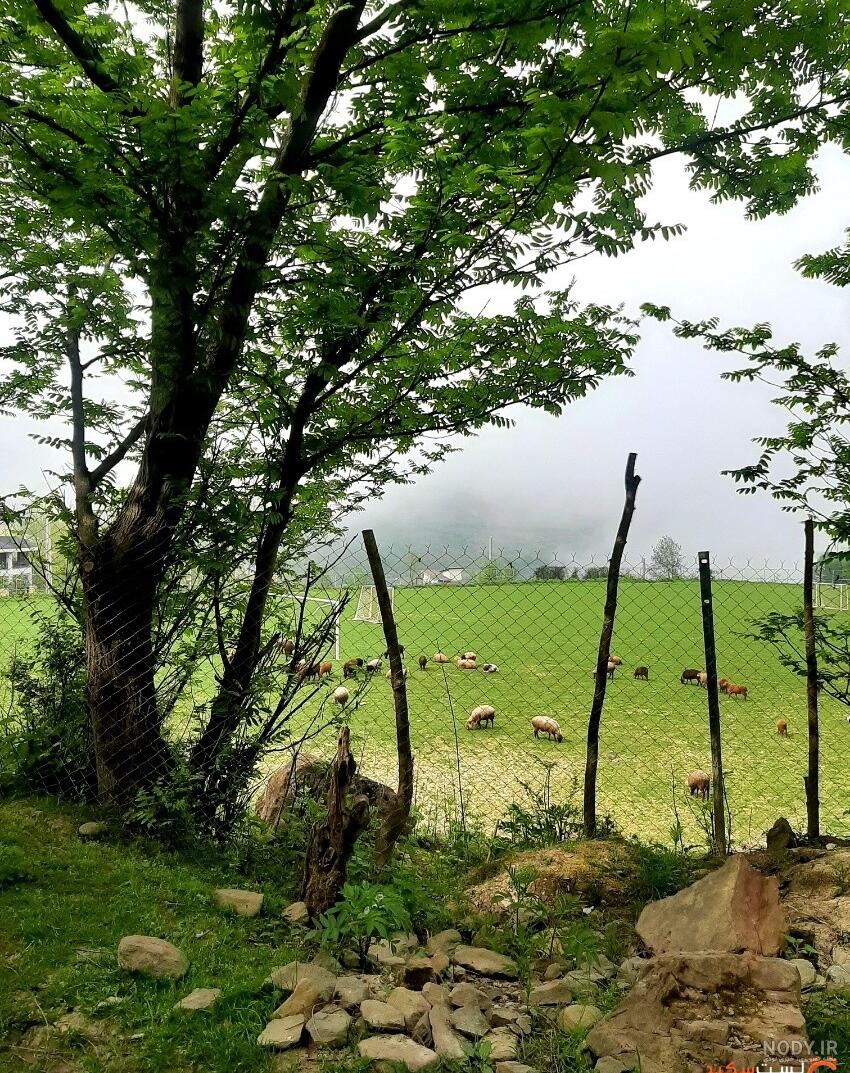 روستای لاویج نور: همه آنچه قبل از رفتن باید بدانید | لست‌سکند