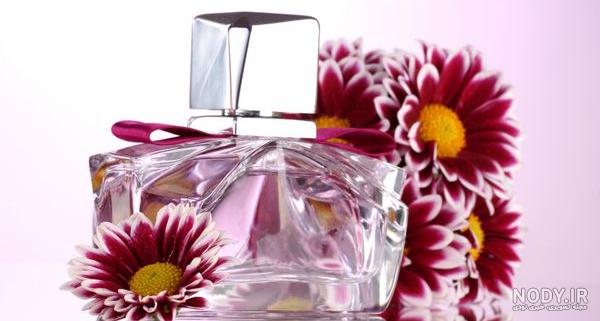 عطر گرمی پاپ مک کارتنی - برند استلا مک کارتنی - جنسیت زنانه ... عطر گرمی پاپ مک کارتنی - برند استلا مک کارتنی - جنسیت زنانه ...