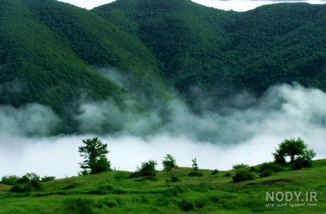 عکس از جنگل ابر سمنان
