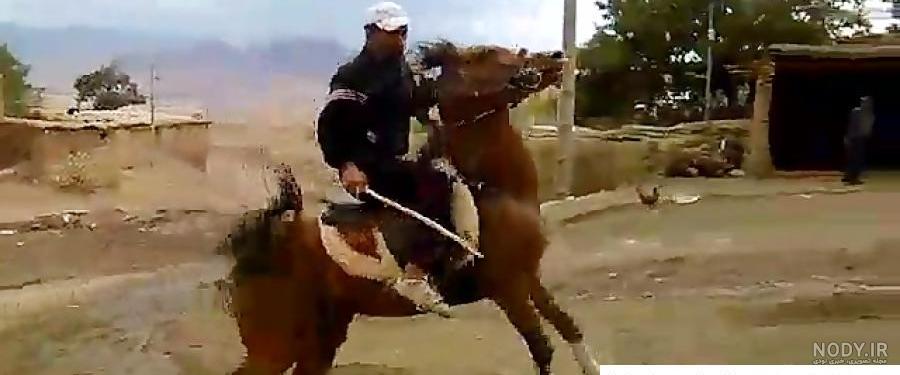 عکس حسن نجفی متهم - عکس نودی
