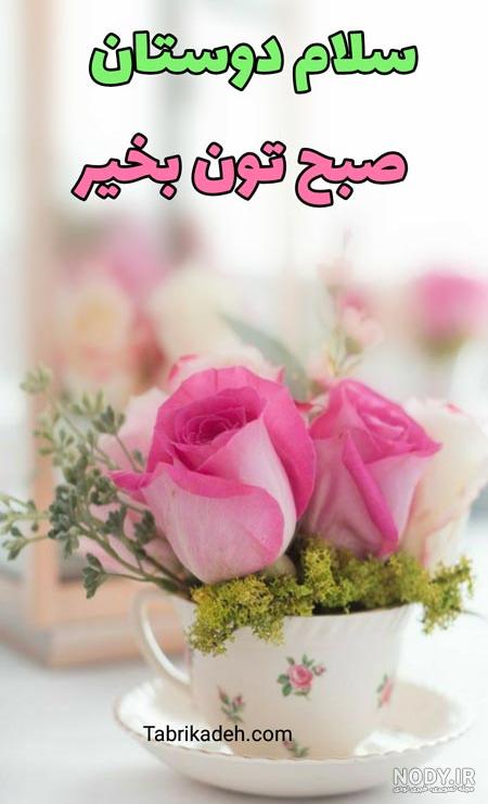 عکس های زیبا صبح بخیری - عکس نودی