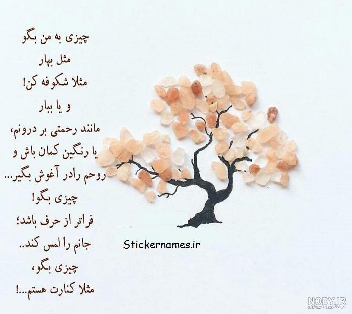 عکس شکوفه بهاری پروفایل عکس شکوفه بهاری پروفایل