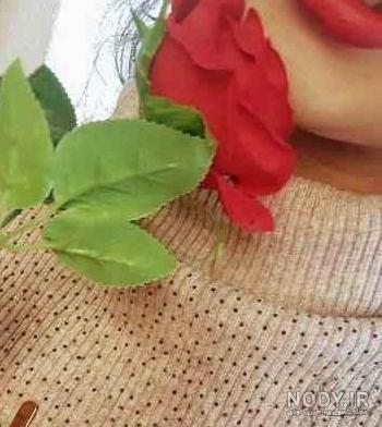 عکس فیک دخترانه با گل - عکس نودی