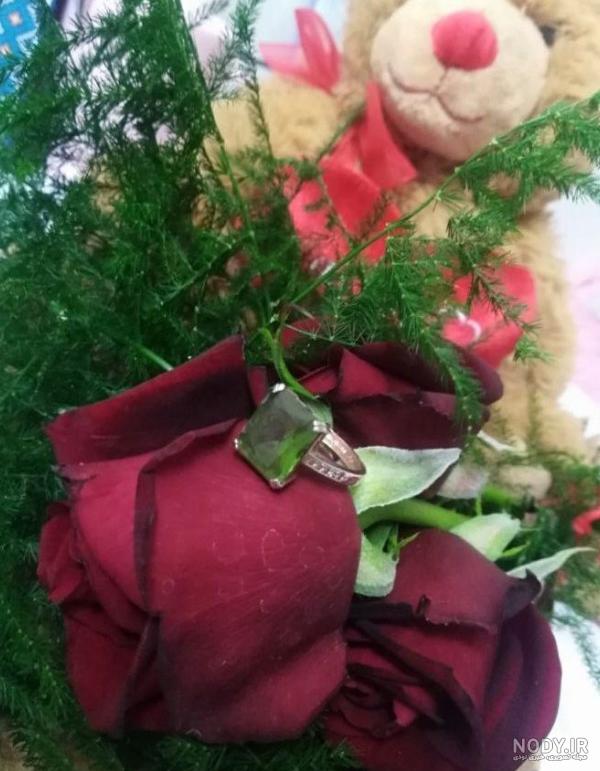 عکس فیک هدیه گل - عکس نودی