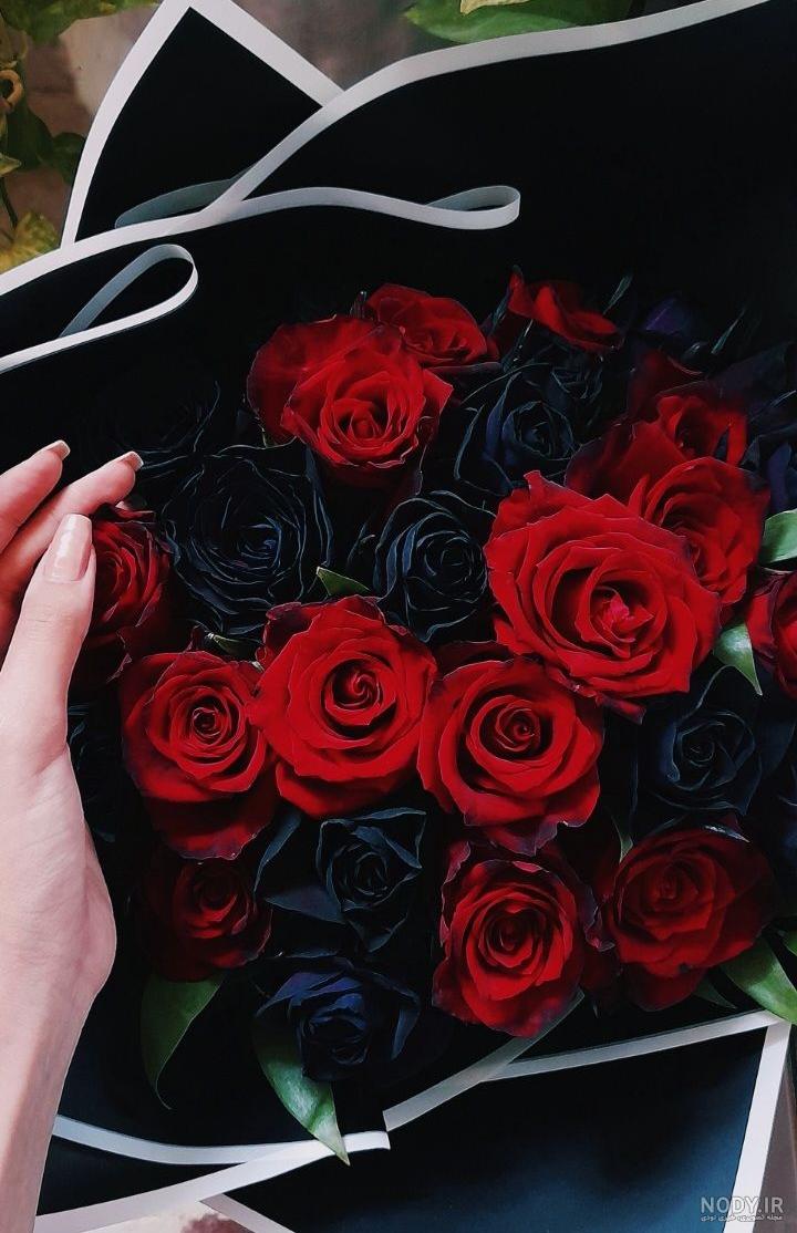 عکس فیک گل رز