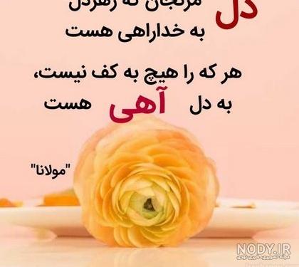 عکس نوشته درباره جاری حسود