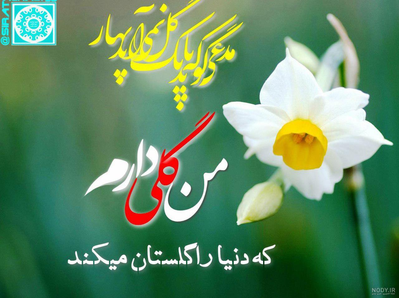 عکس نوشته گل لاله