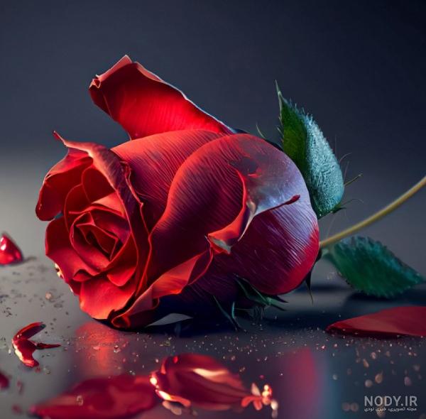 عکس نوشته گل لاله