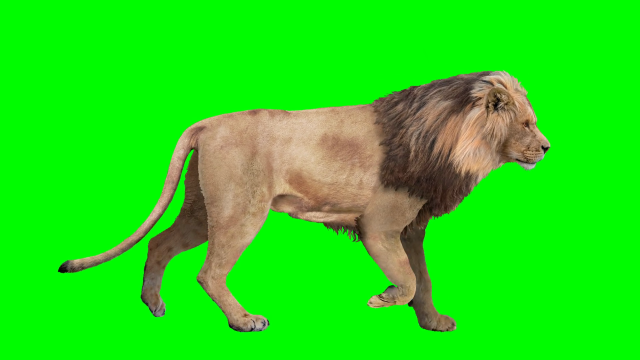 عکس پرده سبز برای ادیت عکس پرده سبز برای ادیت