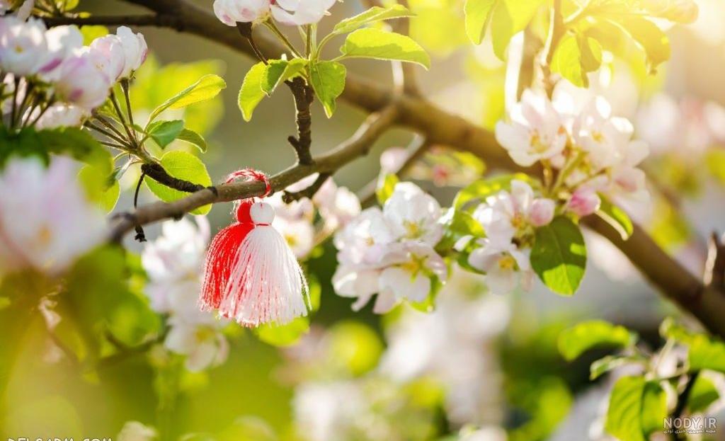 عکس پروفایل دختر با شکوفه های بهاری عکس پروفایل دختر با شکوفه های بهاری