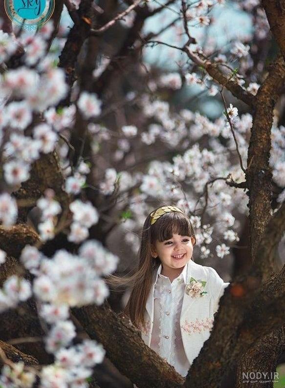 عکس پروفایل شکوفه های بهاری ❤️ [زیبا و چشم نواز]