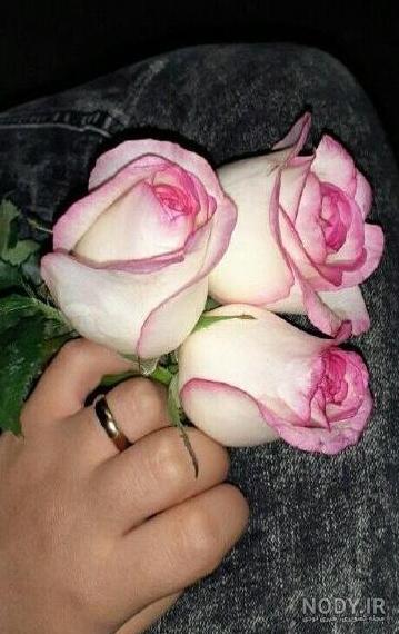عکس گل برای پروفایل بسیار هنری و جدید فیک و طبیعی - گلی خانوم