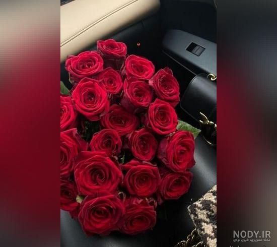 عکس گل فیکوس