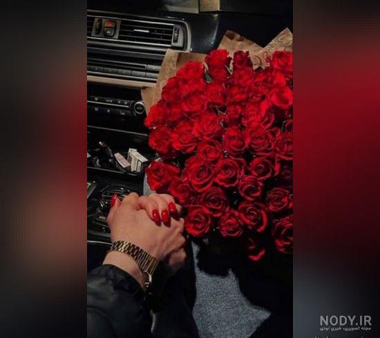 عکس گل فیکوس بلک