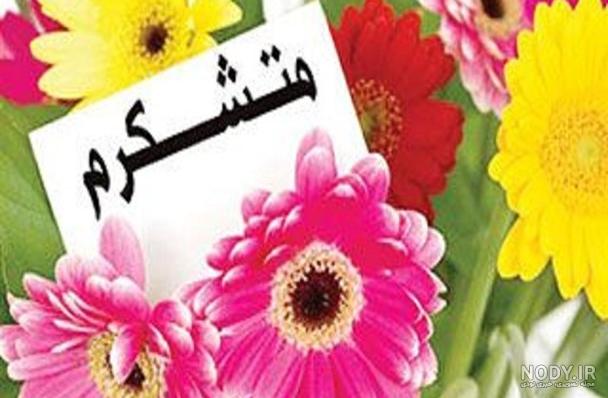پیام تشکر بابت تبریک تولد + جملات دوستانه و عاشقانه برای جواب تبریک تولد
