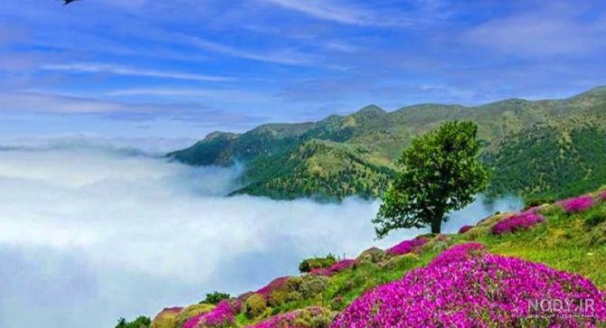 کاور هایلایت ایموجی با لبخند تلخ مخصوص استوری های غمگین